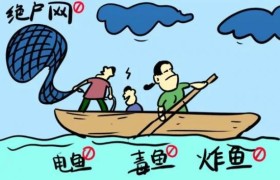 冰城公安提示：认清炸鱼毒鱼危害  共护水域生态安全