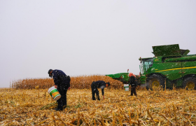 风雪为令  冰城公安浴“雪”守护平安路