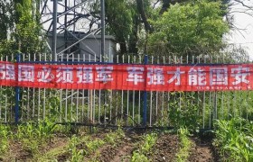 王杨乡开展“国防教育进校园”系列爱国主义教育活动