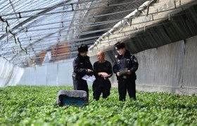 守好“耕地中的大熊猫”  冰城公安全方位筑牢黑土地保护屏障