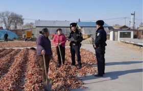 冰城公安：当好春耕“守护人”  绘就一年好“丰”景