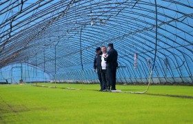 道外公安：普法入脑更入心  守护“耕地中的大熊猫”