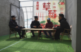 冰城公安做实“田间警务”  护航特色草莓产业发展