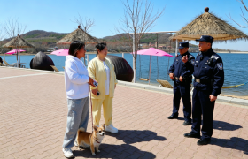 柔性执法显温情 文明养犬暖冰城