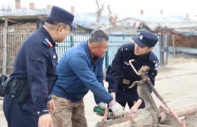 坚守基层警务 守护一方平安