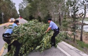暖心警事传递温情 冰城公安用心守护  百姓安宁