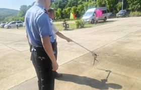 端午游园遇险情！民警快速擒蛇除隐患守护假期平安