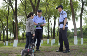 冰城公安：把文明养犬知识送到身边  把安全隐患化解在源头