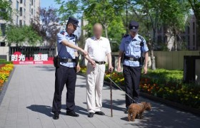 牵紧文明绳 共筑平安城  冰城公安精细化推进养犬综合治理