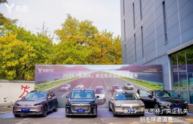 2025“岚图杯”央企机关羽毛球邀请赛圆满落幕