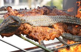 海南东方鳄珍鳄鱼园获评国家 3A 级旅游景区