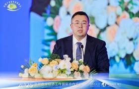 2025全球数字经济论坛探讨非金融RWA创新 实体经济新机遇