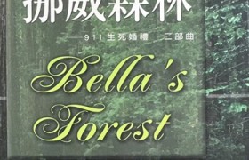 作家贝拉：流动的命运与永恒的祖国，以文学展现故乡人道主义高地