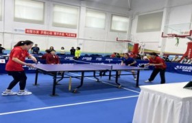 中国移动大庆分公司在省公司乒乓球赛中荣获“优秀组织奖”