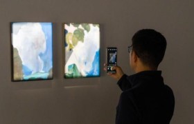 周胤辰：自然法术作品展在叁柒贰叁美术馆开幕