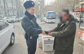 南岗分局民警巡逻中连助游客寻回失物