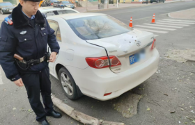 南岗分局民警巡逻中快速响应 树枝砸车引险情 警民联动化危机