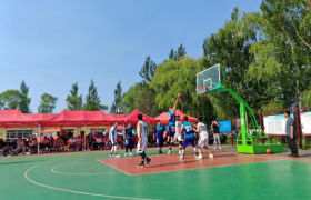 伊春市铁力市王杨乡建设村：和美乡村  “三部曲”，建设美丽宜居“新家园”