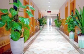 广州白云养老新体验：康复配套完善，偏瘫长者可安心长期安居