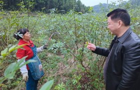 涪陵区司法局乡村振兴驻坛中村工作队吃在村住在村干在村