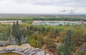 南方游客来宁夏旅游，在银川参观沙漠却惊呆了：这不是沙漠吧？