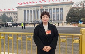 全国人大代表张海鸥：建议全面恢复并优化强制婚检，提升出生人口质量｜两会声音