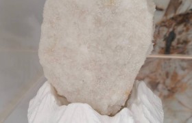 察尔汗盐湖游客捡盐块带回家！景区：不可食用，可能破坏生态