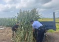 秋风送暖 民警助农解忧