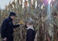 金秋时节“藏蓝”相伴  道外公安守护秋收好“丰”景