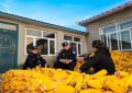 黑土地上普法忙！  冰城公安倾力织密秋收“法治防护网”