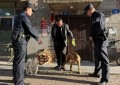 宾县公安局开展文明养犬宣传活动 筑牢辖区安全文明防线