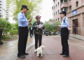 冰城公安：  规范养犬秩序 擦亮城市文明底色