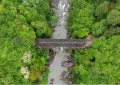 稿件测试002-同步到站群