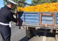 农用车辆“穿”上反光衣 平安护航秋收路