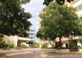 广州松明尚苑颐养院：成年心智障碍群体托养服务说明