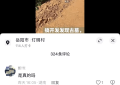 岳阳一村施工现场挖出棺木和珠宝，当地多部门回应：初步判断为清代物件，已移交博物馆