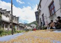 江西婺源：秋日古村绘美卷