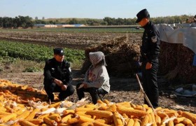 道外公安:下好主防“先手棋”  夯实社区警务平安根基