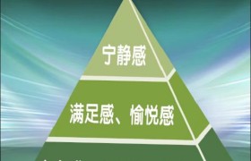 响应“育心”号召,盘古树教育交出创新答卷——“儿童思维程序学”如何在家庭中落地生根